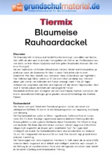 Blaumeise - Rauhaardackel.pdf